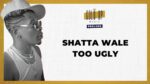 Lyrics: Shatta Wale Too Ugly lyrics and meaning