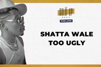 Lyrics: Shatta Wale Too Ugly lyrics and meaning