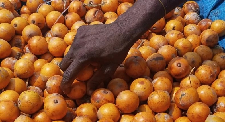 African Star Apple: Health Benefits Of Alasa Fruit