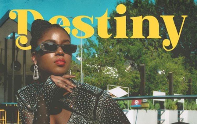 Mzvee Lyrics for Destiny