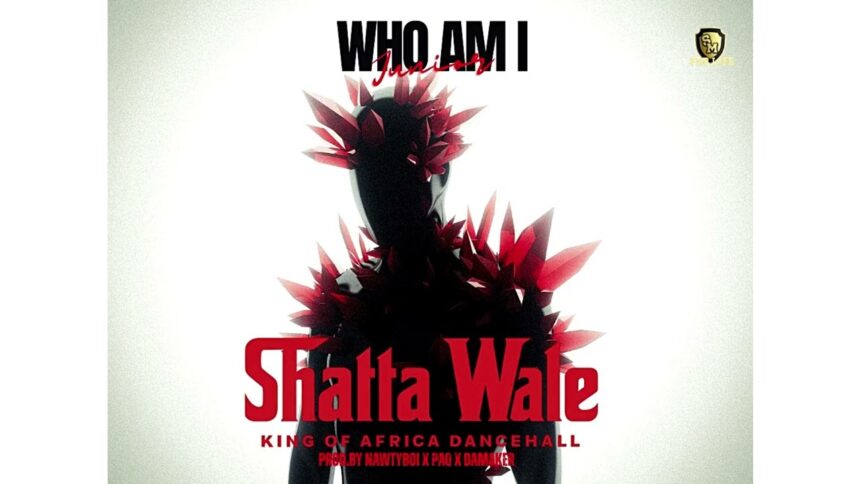 Shatta Wale Drops New "Who Am I" Music: Listen Now! Shatta Wale Who Am I Cover