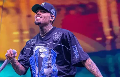 Chris Brown Ordered to Pay $13M After Jury Rules in California Dog Attack Lawsuit Chris Brown 1