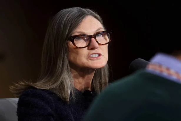 Cathie Wood Buys $53M Nvidia Stock After Post-Earnings Pullback