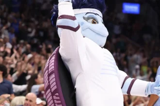 Toronto WNBA team introduces new butch turtle mascot with she/they pronouns toronto tempo mascot dez