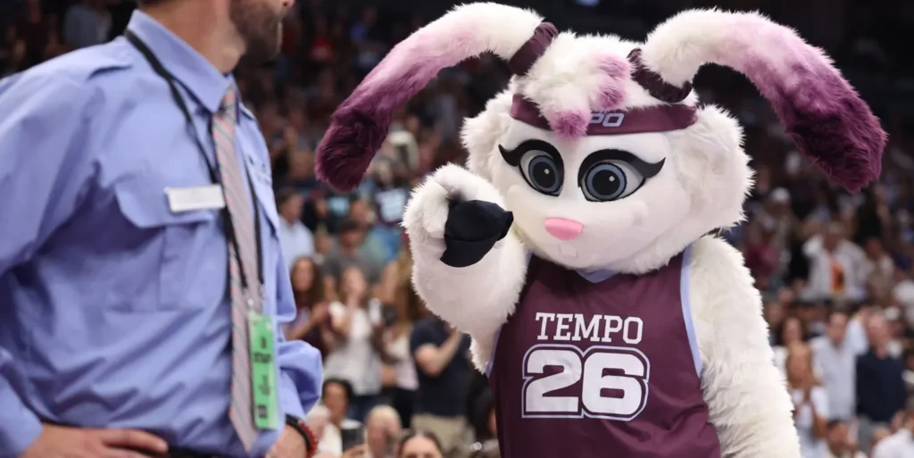 Toronto WNBA team introduces new butch turtle mascot with she/they pronouns toronto tempo mascot dot