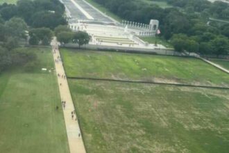 Trump Blames Vandals for Dead Grass Near World War II Memorial After July 4 Event