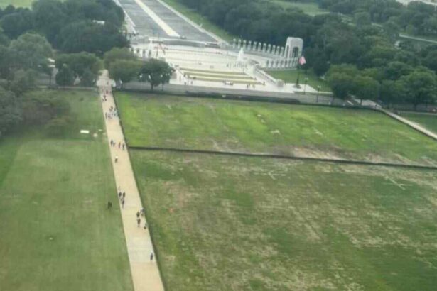 Trump Blames Vandals for Dead Grass Near World War II Memorial After July 4 Event