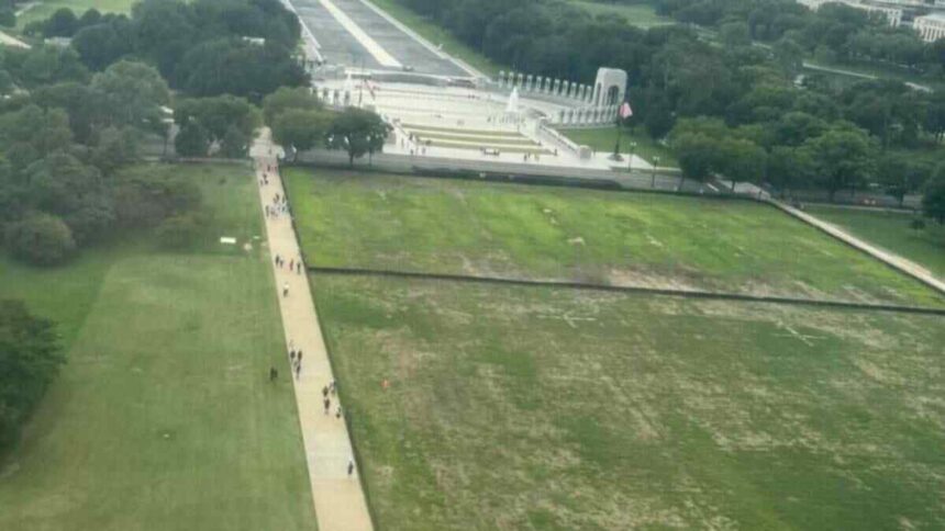 Trump Blames Vandals for Dead Grass Near World War II Memorial After July 4 Event